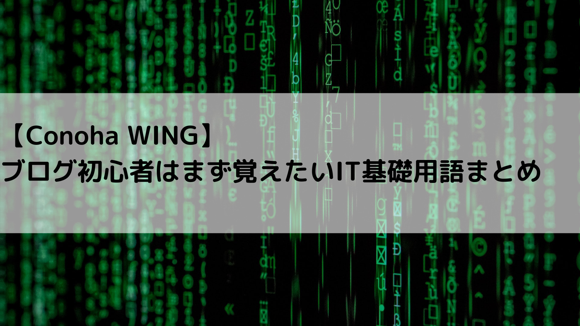 ConoHa WINGで出てくる！ブログ初心者はまず覚えたいIT基礎用語まとめ 