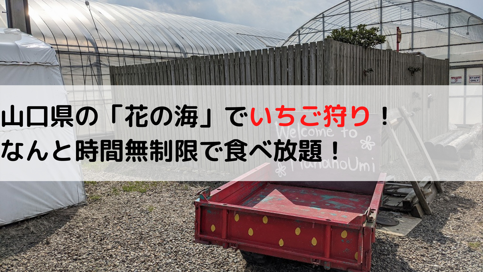 山口県「花の海」のいちご狩りは時間制限なしで食べ放題！他にも遊べるスポットあり！ 