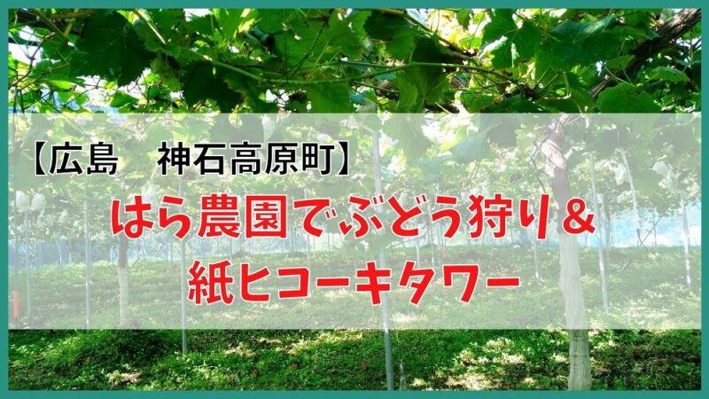 【広島 神石高原町】はら農園のぶどう狩り＆紙ヒコーキタワーを紹介 